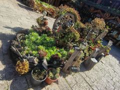 -嘉华鲜花饼(四方街旗舰店)