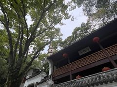 -江心屿景区