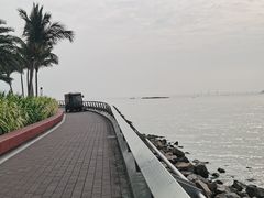 -野狸岛