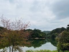 -广州市石门国家森林公园