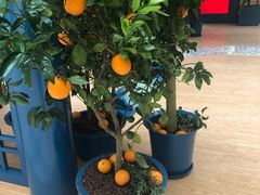 -新世界大丸百货