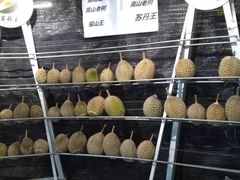 -都念榴莲·城市榴莲