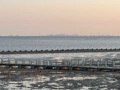 -南汇嘴观海公园