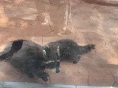 -南戴河国际娱乐中心