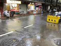-清平中药材专业市场