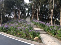 -新洲生态园