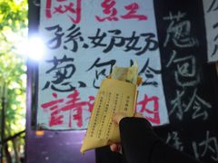 -孙奶奶葱包桧