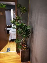 -觅境SPA·私享空间