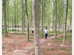 -东郊湿地公园