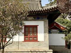 -大慈恩寺(大雁塔)