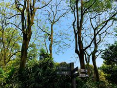 -南山植物园