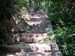 -大岭沟猕猴桃谷风景区