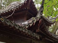 -汇龙潭