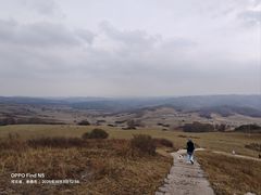 -御道口草原森林风景区