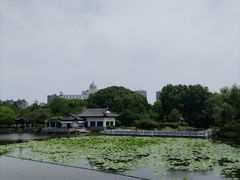 -范蠡湖公园
