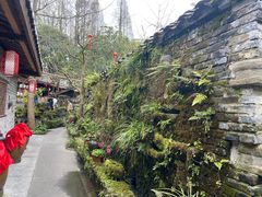 -青城甲(青城山店)