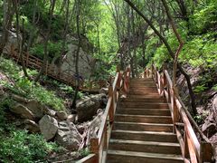 -大岭沟猕猴桃谷风景区