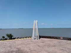 -上海滨江森林公园