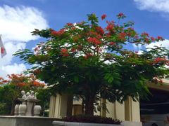 -三亚亚龙湾天域度假酒店