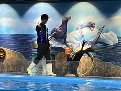 -顺德南宏海立方海洋公园
