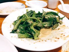 -老阿妈蒙古村·蒙古包·草原文化·歌舞表演(老君堂店)