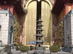 -上海东林寺(金山区)