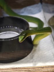 -Zoolung Zoolung动物主题公园(海信广场店)