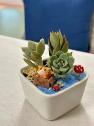 -金月汇月子会所(江门店)