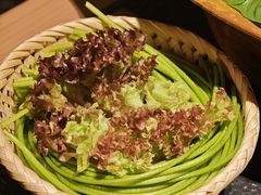-大龙燚·旷野鲜火锅(广州首店)
