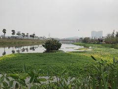 -那考河湿地公园