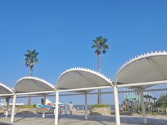 -碧海金沙
