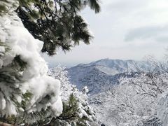 -香山公园
