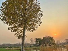 -安德鲁户外烧烤帐篷营地(马泉营店)