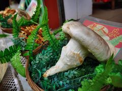 -佳缘野生菌食府