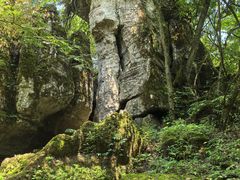 -山王坪喀斯特国家生态公园