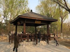 -大兴滨河森林公园