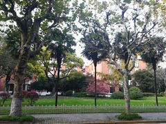 -复旦大学相辉堂
