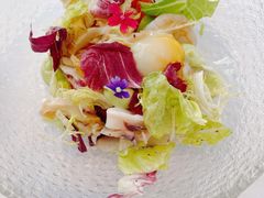 蝶舍沙拉-蝶舍·MAISON PAPILLON