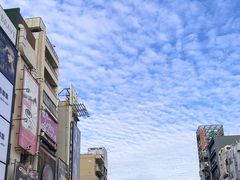 -道顿堀水上观光船(太左衛門橋船着場)