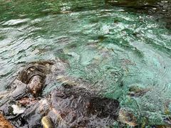 -广州海洋馆