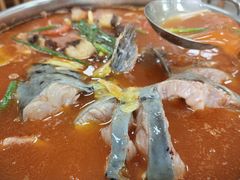 -苗侗地道红酸.酸汤鱼·酸汤牛肉