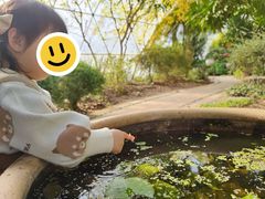 -九善农植有机生活农场