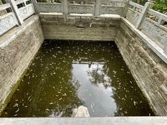 -四门塔风景区