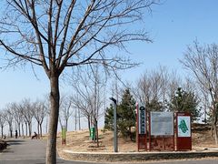 -东郊湿地公园