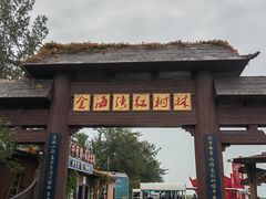 -北海金海湾红树林生态旅游区