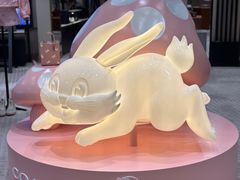 -COACH蔻驰(星光68广场店)