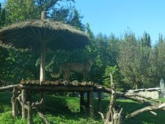 -北京野生动物园