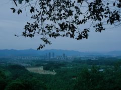 -大奇山国家森林公园