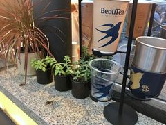 -BeauTea水仙(coco park店)