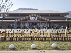 -千年银杏谷文化旅游区